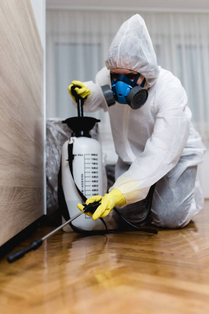 Reliable Tuckerton, NJ Pest Control Solutions